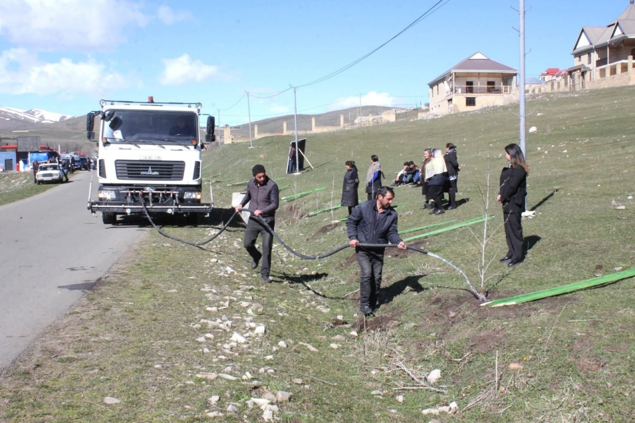 Daşkəsəndə ağacəkmə aksiyası keçirildi - FOTOLAR